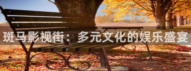 立体轨道影院：斑马影视街：多元文化的娱乐盛宴