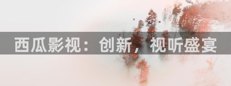 轨道影院设备：西瓜影视：创新，视听盛宴