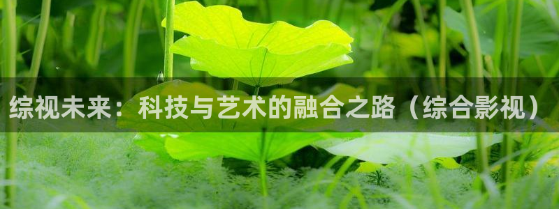 元宇宙轨道飞行影院：综视未来：科技与艺术的融合之路（综合影视）