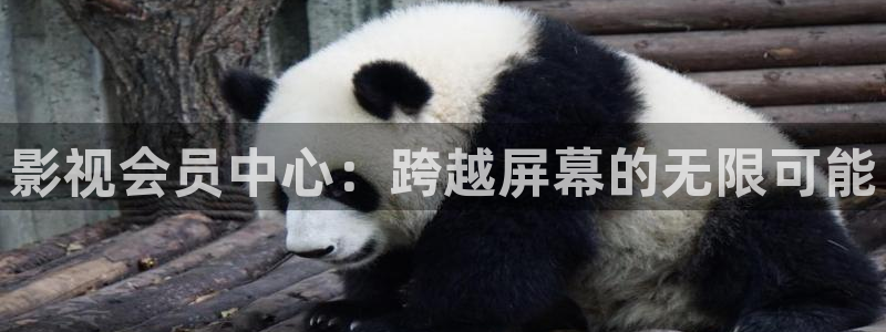 轨道影院是什么样的：影视会员中心：跨越屏幕的无限可能