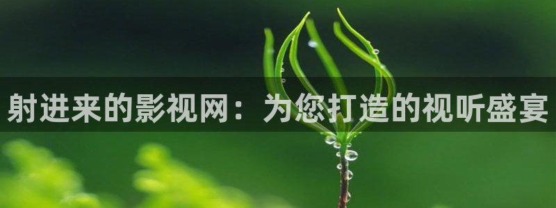 轨道影院设备：射进来的影视网：为您打造的视听盛宴